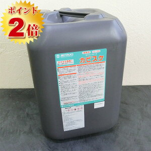 JrXP ee(4LE18L) i̓Jr܁j