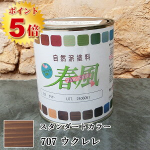 RIO t`HARUKAZE` X^_[hJ[@707 EN@0.75L(7/2h)@t/RIONh/T[yCg/Rh/IC/AIC