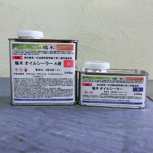(݂) ICV[[@0.67kgZbg(At0.45kg:Bt0.225kg) IC/h/2t^/E^