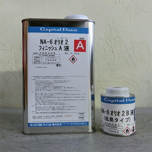 NA-6�I���I2�t�B�j�b�V���@0.88kg�Z�b�g(A�t0.8kg�EB�t0.08kg) 44�`45����/1��h�� �L���s�^���y�C���g/�ؕ��p/�A�����I�C��