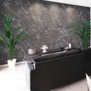 p[tFNgCeAEMO tXg@ee(4kgE15kg) ʖ͗l/p/ӏd//vX`bNw/P//h/{yCg