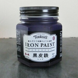 ACAyCgS@200ml(2/2h)@IRON PAINT/^[i[F///ؕ/KX//畗/h