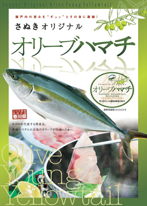 楽天市場 鮮魚 讃岐のオリーブハマチ半身 養殖 約8 10人前 瀬戸内の珍味 網元大将