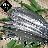 【船上氷〆/水揚げ後即日出荷】瀬戸内海産 生さより1kg 鮮魚 刺身 予魚