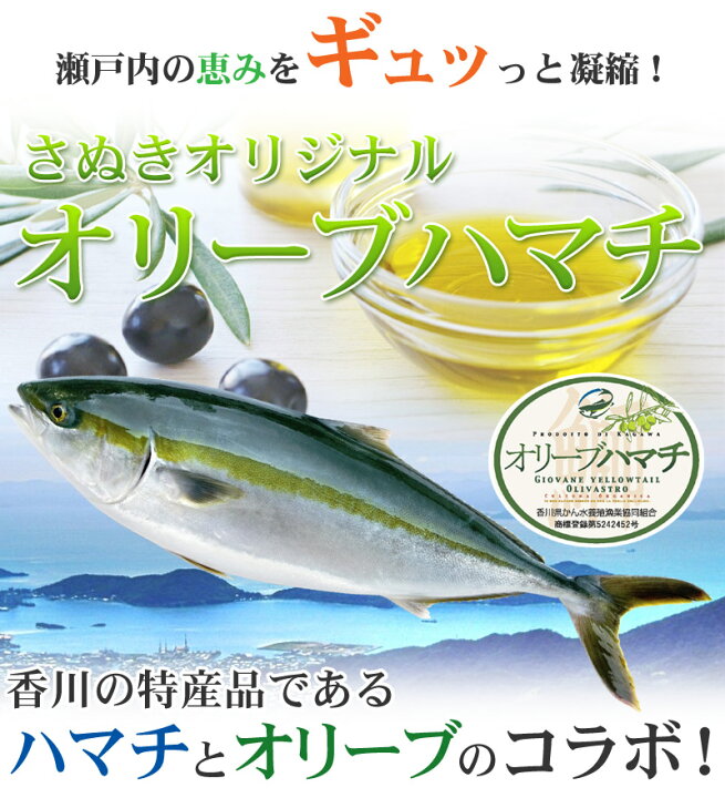 楽天市場 鮮魚 讃岐のオリーブハマチ半身 養殖 約8 10人前 瀬戸内の珍味 網元大将
