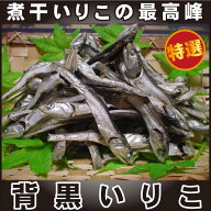 名産地の高級煮干いりこ「セグロ」1袋230g　/ダシ取り いりこダシ にぼし 小魚 おやつ 煮干し いりこ 食…