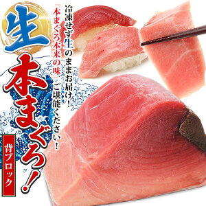 _1,000~OFFN[| 11/20 20`^Y̐{}OiN}OjwubN 400`500gi3`4lOjڈˎhg24؂ ōiF܂i{jMtg  ] lC CN