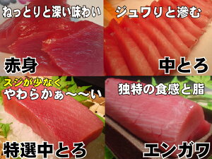 楽天市場 まぐろ 冷凍まぐろ 年末年始の南鮪 瀬戸内の珍味 網元大将