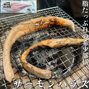 ۊ쐅Y mEF[Y T[nX 300g 艖^Cv