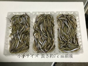 楽天市場 瀬戸内の珍味 いかなご いかなご各種 瀬戸内の珍味 網元大将
