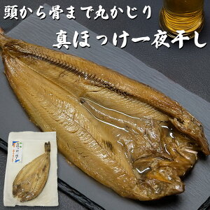 _܂ŊۂƐHׂ^kCY ^ق̈銱 TCY 200g`250gO ` ggHi Z