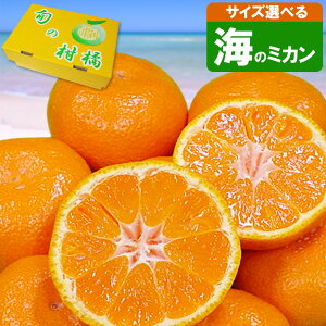 _Čb݂Ղ^ C̃~J2kg Gi TCYIׂ ϔ ݂