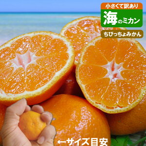 _Ė󂠂̈TCY~J^ т݂5kg 2S`3STCY ЂƂl2܂œs