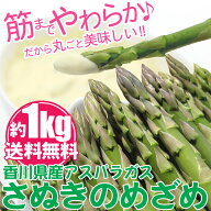 ＼お買い物マラソン：セール対象／ 海のグリーンアスパラガスさぬきのめざめ1kg チルド郵 農予冷　/ asup…