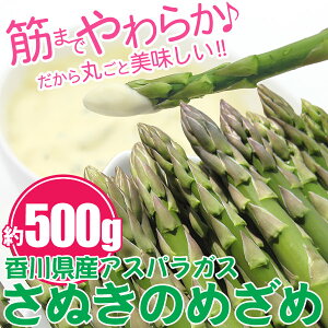 C̃O[AXpKXuʂ̂߂߁v500g