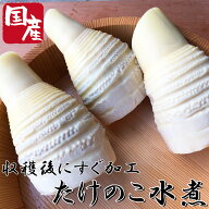 ＼予約受付：たけのこ歴30年農家さんが収穫後30分以内に加工！／ 農予冷 香川県産 たけのこ水煮 1kg 【4…