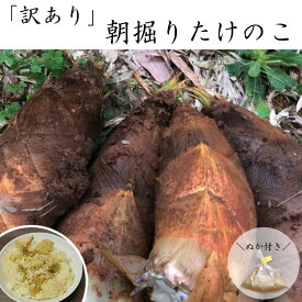 【予約受付】香川県産 【訳あり】 朝掘り「たけのこ」 3kg ぬか付き 【4月中旬頃より順次出荷予定】冷蔵　/ 筍 たけのこ料理 タケノコご飯 ギフト 贈答品 アク抜き 竹の子 野菜 旬の野菜 産地直送 朝掘り 国産タケノコ 業務用 産地直送 新物