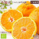 【予約】しらぬい4kg(デコポン同等品種) 送料無料 訳あり ご家庭用 鹿児島県産(4月下旬より発送開始)