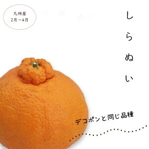 【予約・4月下旬】(クール便)しらぬい4kg(デコポン同等品種) 送料無料 訳あり ご家庭用 鹿児島県産【4月頃から発送開始】※日にち指定不可※