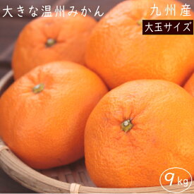 楽天市場 みかん 産地 都道府県 鹿児島 みかん フルーツ 果物 食品の通販