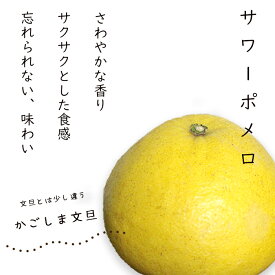 ＼残りわずか／（ご家庭用）サワーポメロ4kg 訳あり 送料無料 かごしま文旦【 2月下旬～発送】