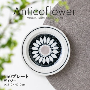 ���yAnticoflower(�A���e�B�R�t�����[)�z 160�v���[�g�m���{�� ���Z�� �H�� �}�O�n�^�H��