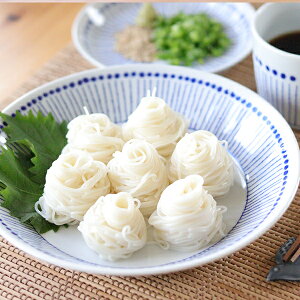 ̂@pX^[M@20cmyZā@{z^H