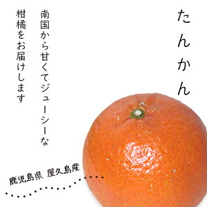 y2026N2{z񂩂1.5kgiƒpj  i󂠂jY@vY\񏤕î߁A킹̏ꍇ͓ƂȂ܂y2{z