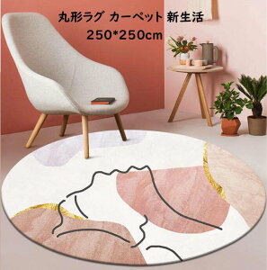 一人暮らし カーペット ラグ マット 絨毯 通販 価格比較 価格 Com