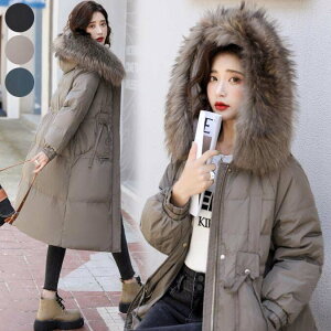 yz_ER[g p OR[g t[ht tFCNt@[ ~ ȃR[g _EWPbg fB[X g  ʋΒʊw w R[g JWAR[g h 