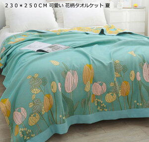 yz|zc ėpK[[Pbg xCr[ ^IPbg NC[ LO 230*250cm ^IPbg ԕ [΍ Q Ċ|zc ͂zc uPbg K[[Pbg Ԓ Ђ|