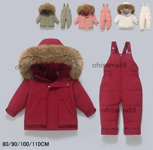 yڋʉz IzZbgAbv _ER[g H~p xr[ _ER[g+Tybg 2_Zbg q_ER[gZbg AE^[ ㉺Zbg ȃR[g LbYR[g q o