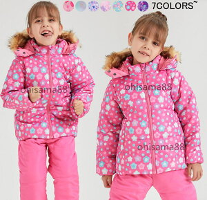 yڋʉz IIzXL[ EFA LbY Xm{ Xm[EGA qǂ ㉺Zbg WPbg pc qXL[EFA LbYXL[EFA Xm{EFA g  V N 