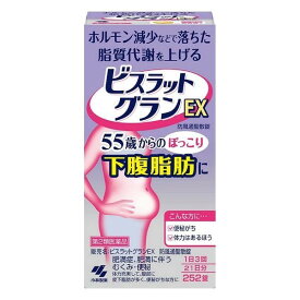 【第2類医薬品】《小林製薬》 ビスラットグランEX 252錠 ★定形外郵便★追跡・保証なし★代引き不可★