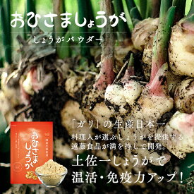 生姜パウダー おひさましょうが 生姜粉末 しょうがパウダー 国産 送料無料 高知県産 生姜 ショウガ ジンジャー 乾燥生姜 抹消体温対策 温活 野菜パウダー 25g 健康 温活 時短 料理 おうち時間