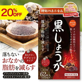 【SS期間中20%OFF】ブラックジンジャー 62粒入り サプリメント ジンジャー 黒しょうが タブレット ポリメトキシフラボン 黒生姜 サプリ 脂肪燃焼 新陳代謝 黒しょうが 更年期 ダイエット サプリ 代謝アップ 漢方 おひさましょうが 遠藤食品 中年太り メタボ 脂肪 代謝