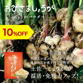 【SS期間中10%OFF】生姜パウダー おひさましょうが 生姜粉末 しょうがパウダー 国産 送料無料 高知県産 生姜 ショウガ ジンジャー 乾燥生姜 抹消体温対策 温活 野菜パウダー 25g 健康 温活 時短 料理 おうち時間