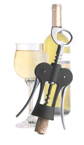 CI[vi[lW ubN o[^b` MfBjЁiɁj