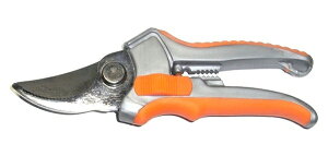 �X�g�b�N�g���q�[�X�i�p�j����n�T�~ �`�F�� ���E���藘�� ���́E������ �e�w���b�N�t ���X�X���i�I