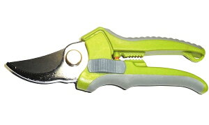 XgbNgipjnT~@E藘@ewbNt Dϋv pXXiI