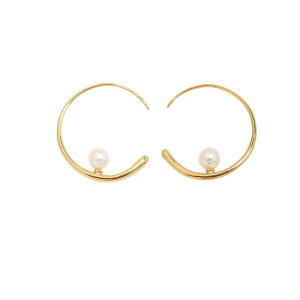 psAX AM[Ή  O  l ؚ S[h Vo[ hbv 傫   p[  p[eB[sAX sAXq Vv 