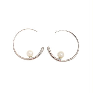 psAX AM[Ή  O  l ؚ S[h Vo[ hbv 傫   p[  p[eB[sAX sAXq Vv 