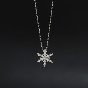 lbNX XeX AM[Ή fB[X Vo[  Vv ꂢ   ؍ 