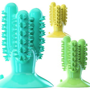   ̂ ̏o ނ m炨 ϋv   q ^ ^