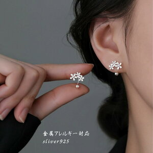 ypz~jsAX ԃ`[t AM[Ή sliver925   t@bVR[fB Vo[ S[h sAXq sAXR[f JWA Vv ZJhsAX  