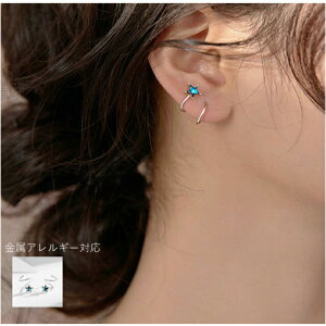 sAX AM[Ή  ` u[ ؍ ؗ  WG[  Vv X^bhsAX ʋ s925 Vo[ t@[XgsAX ANZT[  q v[