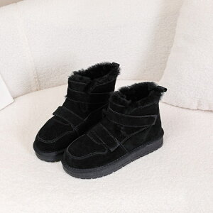 {v Xm[u[c ۉ fB[X JWAu[c Xm[V[Y {A h ~ h ~C Ȃ IV  EC^[u[c