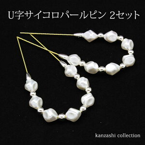  TCR^p[t us Us 2{Zbg (Vo[) m260-Vo[n  wkuy[։/Dz   p[eB   a 񂴂 wAANZT[