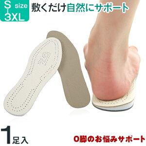 OrT|[gC\[ NbV ␳ Ռz fB[X Y j/Kp ~  pvX jp d V[Y C C~ ܐ ƃPA ɂ C\[  