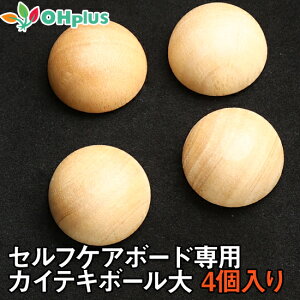 PerfectBoard withball KAITEKIp JCeL{[ | Xgb` _ w }bT[W c{ w  ̊  b tBbglX